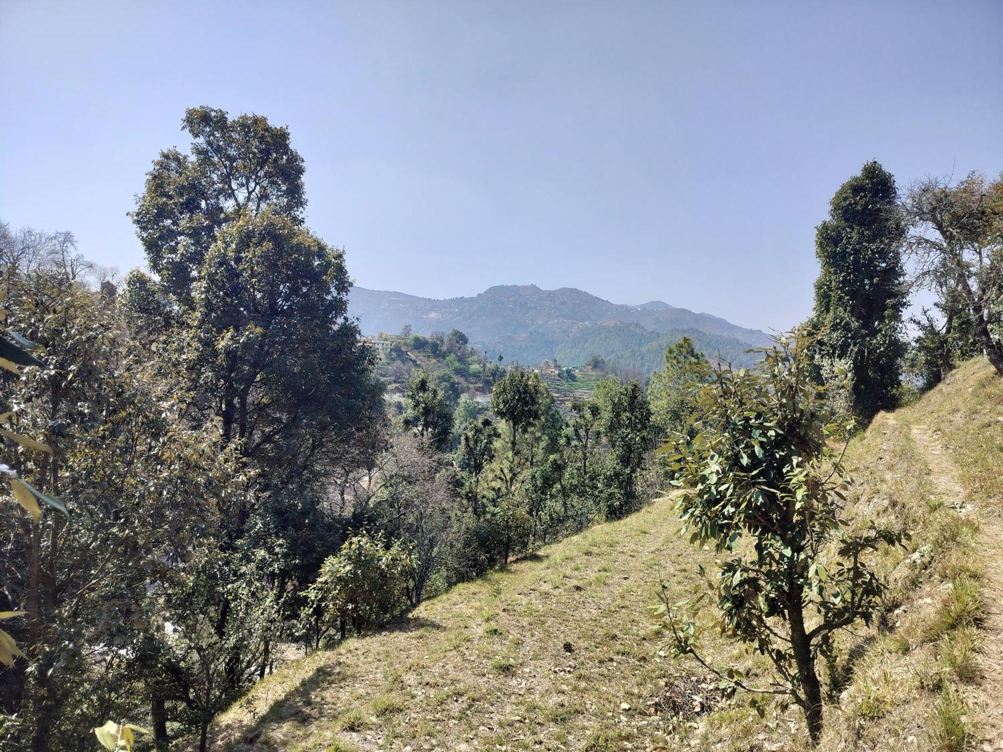 Francolin Lodge-Farmstay @ Darima Mukteshwar Exterior photo