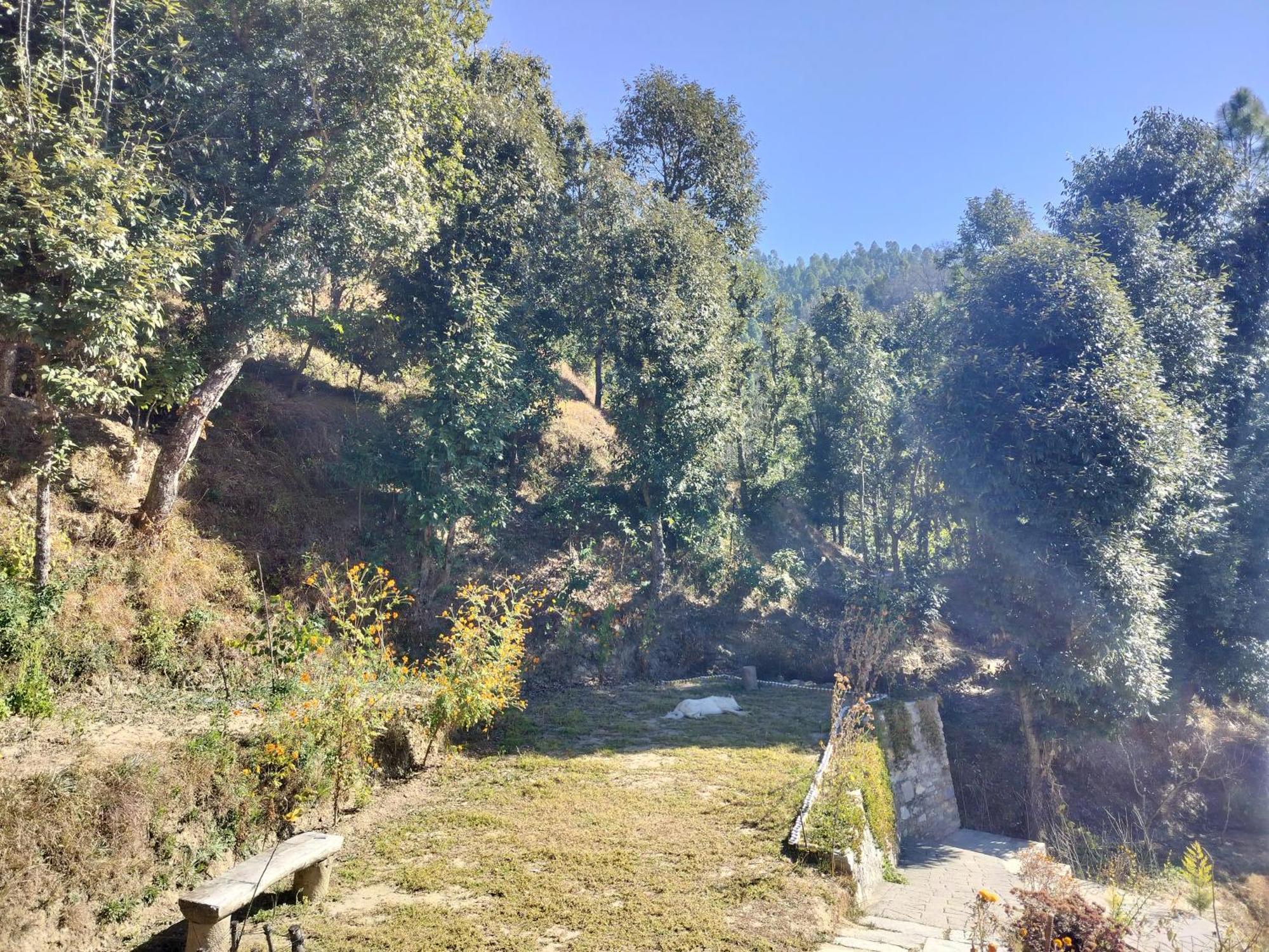 Francolin Lodge-Farmstay @ Darima Mukteshwar Exterior photo